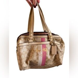 Coach Signature Stripe Bag